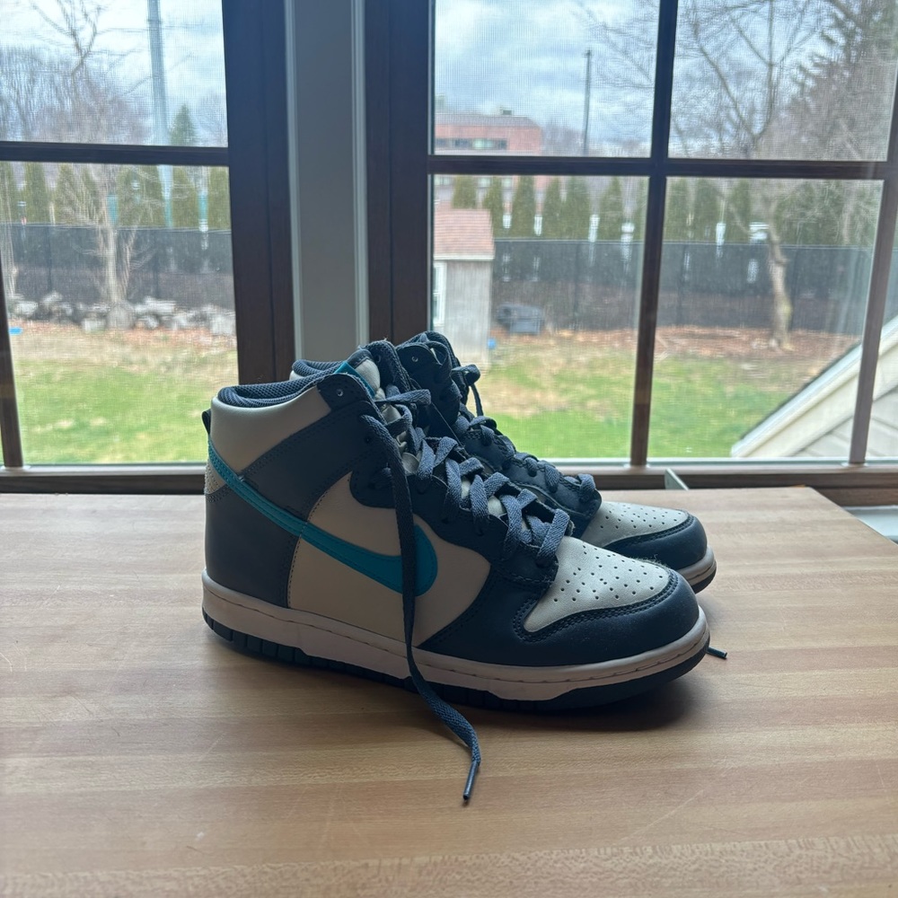 Brand new high top dunks